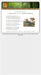 Mobile Screenshot of holz-pfoser.at